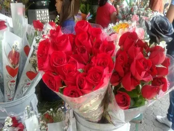Ir al post: San Valentín vs. Sant Jordi: ¿qué día se venden más rosas?
