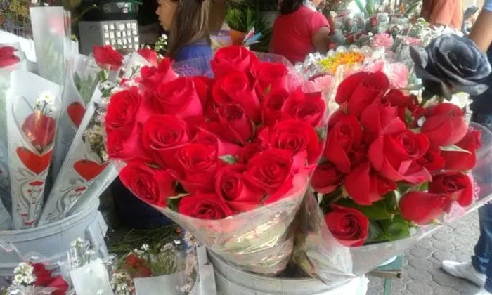 San Valentín vs. Sant Jordi: ¿qué día se venden más rosas?