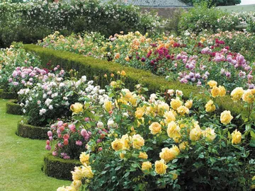 Ir al post: 4 Formas de arte con flores en Reino Unido