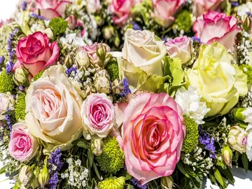 Ir al post: Una flor para cada mujer de tu vida