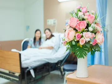 Ir al post: Guía para enviar flores al hospital: consejos y mejores ramos