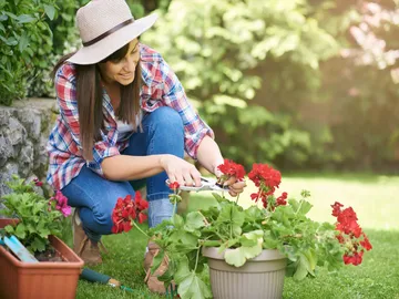 Ir al post: Ideas de regalos para amantes de las plantas y la jardinería