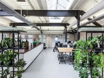 Ir al post: 8 Beneficios de tener plantas en la oficina