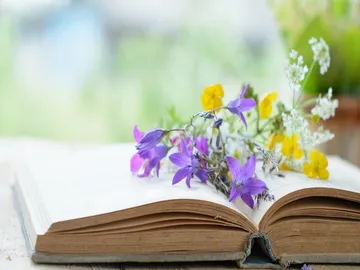 Ir al post: Cómo secar flores naturales en casa: 10 técnicas rápidas y fáciles