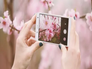 Ir al post: ¿Son los amantes de las flores los nuevos &#8216;foodies&#8217;?
