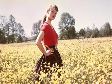Ir al post: 6 famosos enamorados de las flores