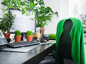 Ir al post: 8 Plantas para el estrés y la ansiedad