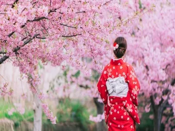Ir al post: El Hanami y la floración de los cerezos en Japón