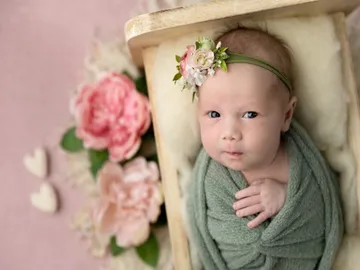 Ir al post: ¿Cuáles son las mejores flores para el nacimiento de un bebé?