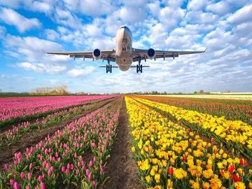 Ir al post: 5 Jardines y rutas de flores cerca de España