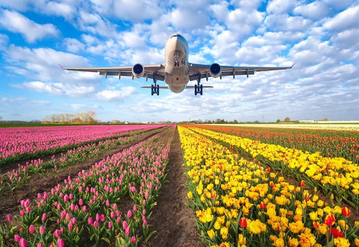 5 Jardines y rutas de flores cerca de España