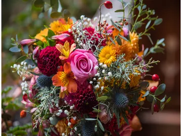 Ir al post: 6 Curiosidades de las flores en la historia
