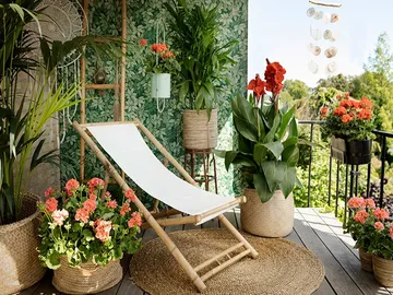 Ir al post: Las 12 mejores plantas de balcón para todo el año