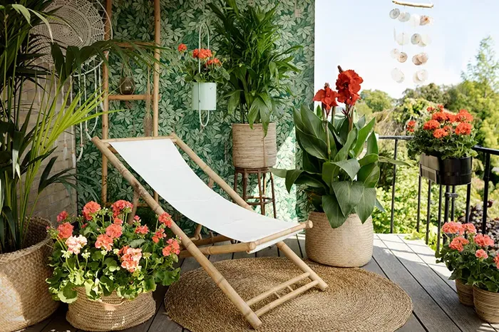 Las 12 mejores plantas de balcón para todo el año