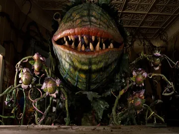 Ir al post: 5 Plantas carnívoras que no pensarías que existen