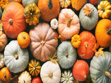 Ir al post: ¿Por qué la calabaza es el símbolo de Halloween?
