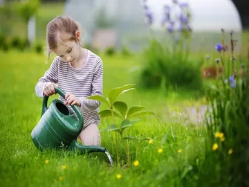 Ir al post: Cómo cuidar tus plantas en vacaciones: trucos y consejos