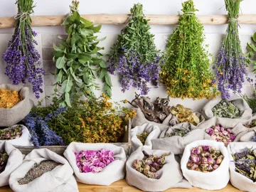 Ir al post: 10 Infusiones con flores: usos