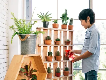 Ir al post: 10 Claves para mantener tus flores frescas más tiempo