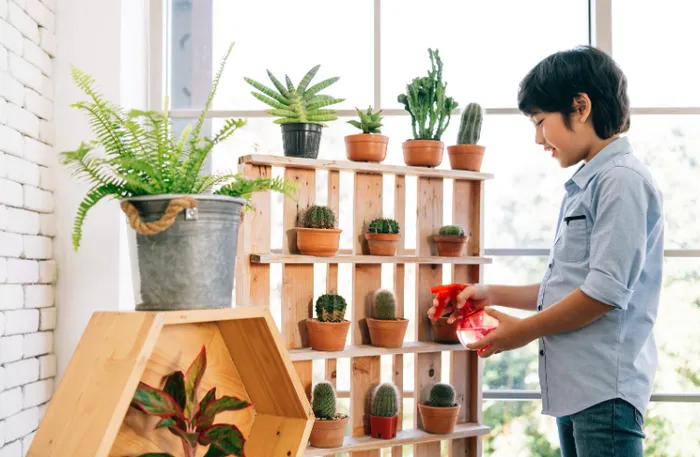 10 Claves para mantener tus flores frescas más tiempo