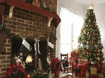 Ir al post: 7 Plantas de Navidad para llenar de magia tu hogar