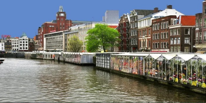 El Mercado de las Flores de Amsterdam