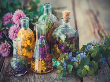 Ir al post: ¿Cómo decorar con flores secas? Ideas para inspirarte