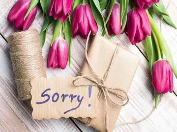 Ir al post: Flores para pedir disculpas: ¿cuáles son las más apropiadas?