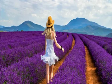 Ir al post: Los 10 paisajes más bonitos del mundo con flores