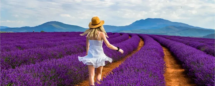 Los 10 paisajes más bonitos del mundo con flores