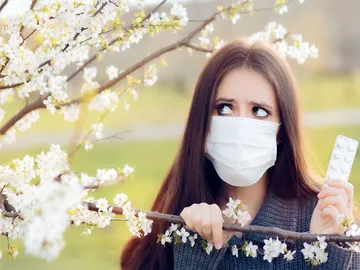 Ir al post: ¿Cuáles son las flores que no dan alergia?