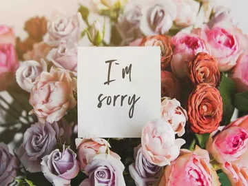 Ir al post: ¿Cuáles son las mejores flores para pedir perdón?