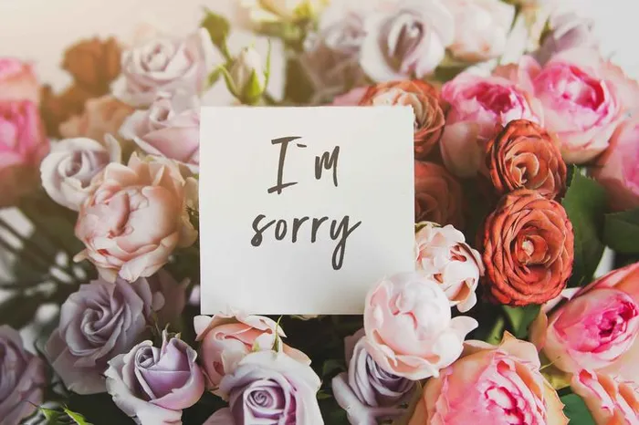 ¿Cuáles son las mejores flores para pedir perdón?