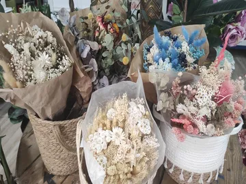 Ir al post: ¿Qué son las flores liofilizadas y cómo se consiguen?