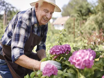 Ir al post: Los mejores ramos de flores para el Día del Padre
