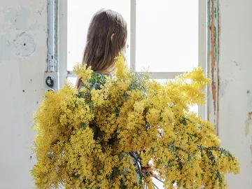 Ir al post: ¿Por qué se regala la mimosa en el Día de la Mujer?