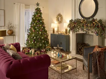Ir al post: Las mejores flores de Navidad para decorar
