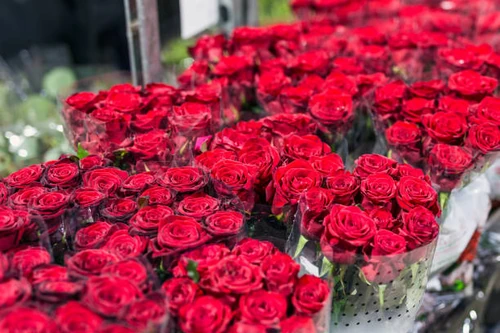 curiosidades de san valentin 