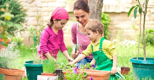 10 actividades con niños y plantas