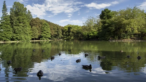 Parques y jardines España 