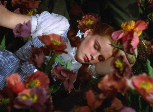 escenas con flores más famosas del cine