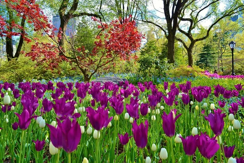7 lugares mas recomendados por fotógrafos en primavera. 