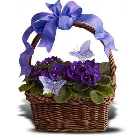 Cómo saber cuál es tu flor de nacimiento 