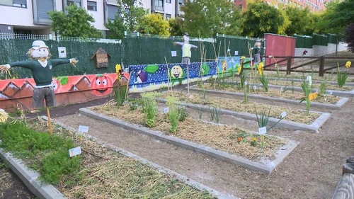 10 actividades con niños y plantas