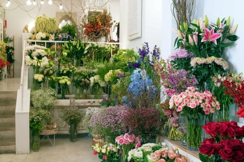 flores frescas