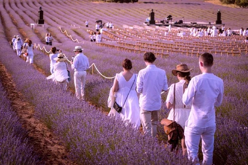 Fiestas de arte con flores