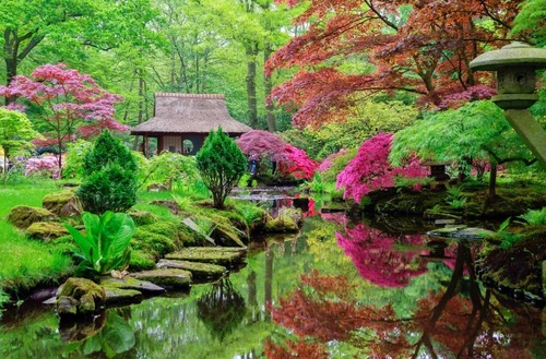 Arte con flores en Japón