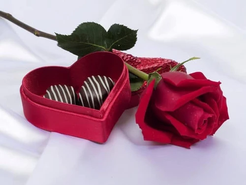 Sant Jordi