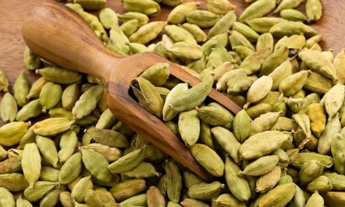infusiones con plantas aromáticas