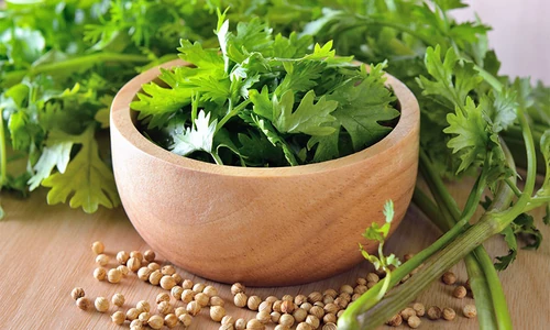 infusiones con plantas aromáticas